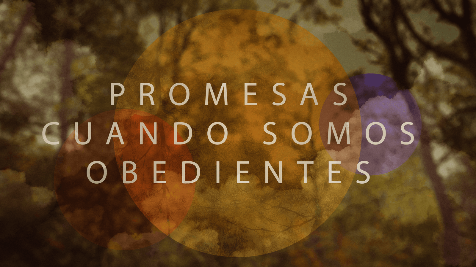 Promesas cuando somos obedientes