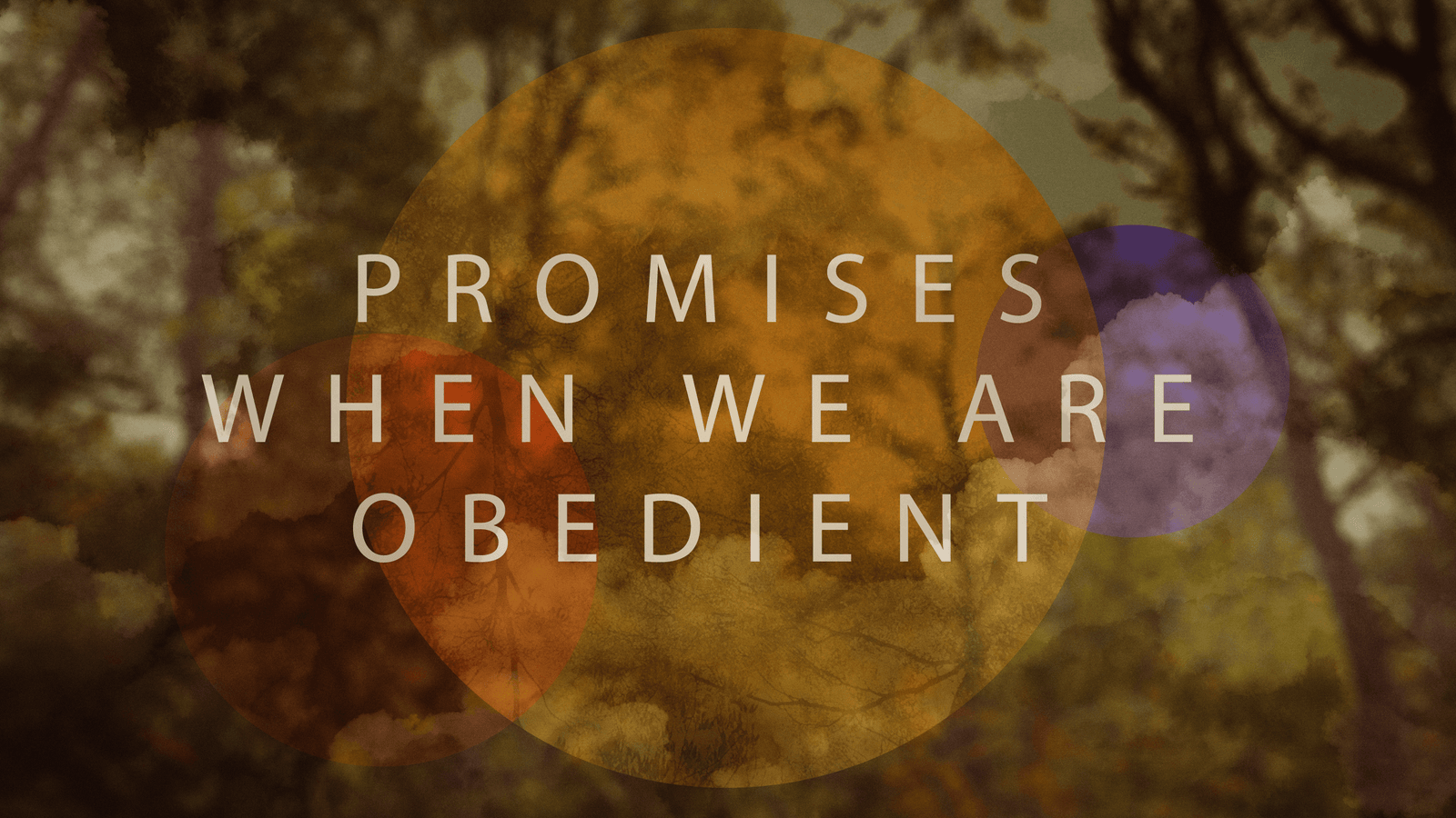 Promises when we are Obedient