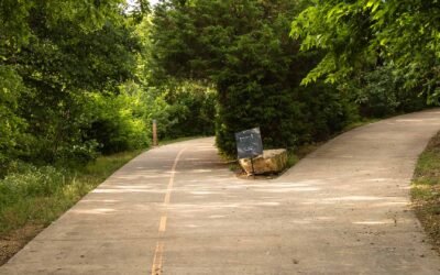 Un recordatorio sobre los tiempos señalados de Elohim Parte II – El camino