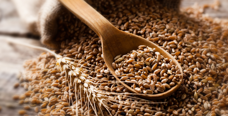 Shavuout 2022 – Some things the Ruach Hachodesh does￼