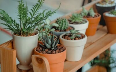 Cosas que las personas dijeron – Parte 2